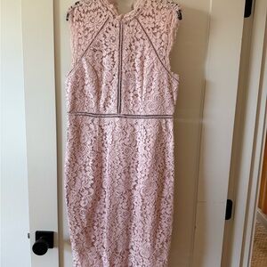 Bardot Blush Lace Midi Dress